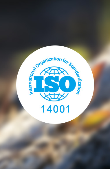 ISO14001